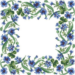 Набір для вишивки нитками Барвиста Вишиванка скатертини Весняні Волошки 75х75 (ТР035пБ5252i)