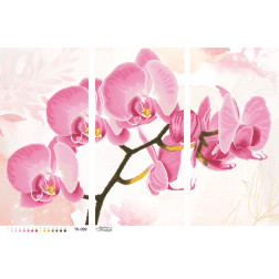 Схема картини Ніжна рожева орхідея (триптих) для вишивки бісером на габардині (ТК099пн8658)