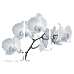 Набір для вишивки бісером Барвиста Вишиванка Монохромна сіра орхідея (триптих) 86х58 (ТК103пн8658k)