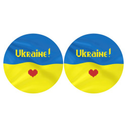 Набір ниток DMC для вишивки хрестиком до схеми для вишивання З Україною в серці ТР673пн3718h