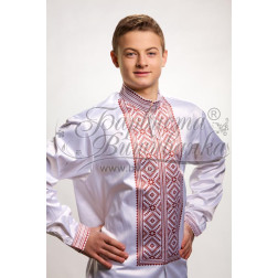 Набор ниток DMC для вышивки крестиком к мужской заготовке рубашки – вышиванки Рожь (СЧ009пБннннh)