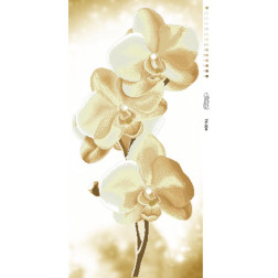 Схема картины Золотистые Орхидеи для вышивки бисером на габардине (ТК004пн4695)