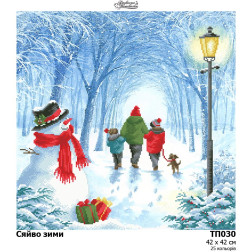 Схема картины Сияние зимы для вышивки бисером на ткани (ТП030пн4242)