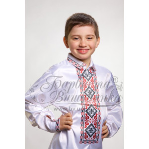DMC thread kit for cross stitch embroidery for kid`s shirt (Ukrainian vyshyvanka), 1-3 years Elegant (CD018pW28nnh)