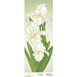 Fabric with stamped beads for beading Barvysta Vyshyvanka Beige and green irises 23x58 (TK033pn2358)