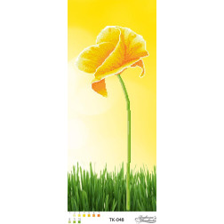 Fabric with stamped beads for beading Barvysta Vyshyvanka Sunny poppy 24x58 (TK048pn2458)