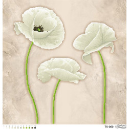 Fabric with stamped beads for beading Barvysta Vyshyvanka Fragile white poppies 58x58 (TK060pn5858)
