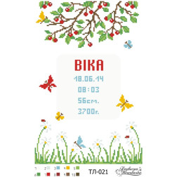 Fabric with stamped beads for beading Barvysta Vyshyvanka Kid's metric «Summer» 22x33 (TL021pn2233)