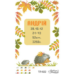 Fabric with stamped beads for beading Barvysta Vyshyvanka Kid's metric «Autumn» 22x33 (TL022pn2233)