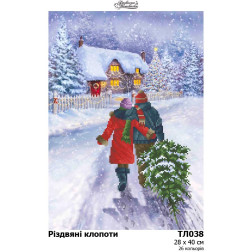 Fabric with stamped beads for beading Barvysta Vyshyvanka Christmas troubles 28x40 (TL038pn2840)