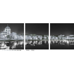 Bead embroidery kit Barvysta Vyshyvanka Triptych 'Evening over the lake' (black and white) 96x36 (TM024pn9636k)