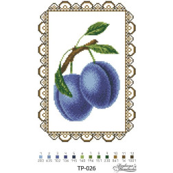 Bead embroidery kit Barvysta Vyshyvanka Towel to the Transfiguration of the Lord 21x31 (TR026pn2131k)